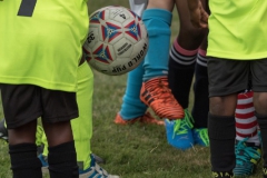 Wereldkampioenschap Voetbal Adoptiekids