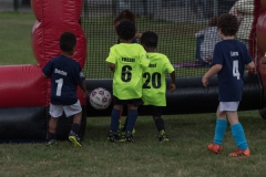 Wereldkampioenschap Voetbal Adoptiekids