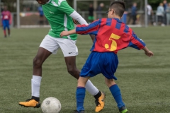 Wereldkampioenschap Voetbal Adoptiekids