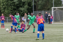 Wereldkampioenschap Voetbal Adoptiekids