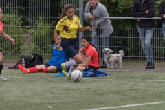 Wereldkampioenschap Voetbal Adoptiekids