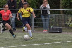 Wereldkampioenschap Voetbal Adoptiekids