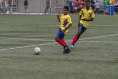 Wereldkampioenschap Voetbal Adoptiekids