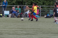 Wereldkampioenschap Voetbal Adoptiekids