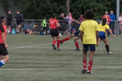 Wereldkampioenschap Voetbal Adoptiekids