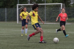 Wereldkampioenschap Voetbal Adoptiekids