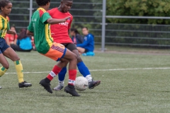 Wereldkampioenschap Voetbal Adoptiekids