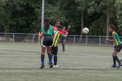 Wereldkampioenschap Voetbal Adoptiekids