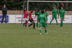 Wereldkampioenschap Voetbal Adoptiekids
