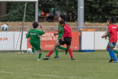 Wereldkampioenschap Voetbal Adoptiekids