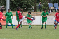 Wereldkampioenschap Voetbal Adoptiekids