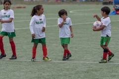 Wereldkampioenschap Voetbal Adoptiekids