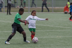 Wereldkampioenschap Voetbal Adoptiekids