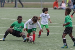 Wereldkampioenschap Voetbal Adoptiekids