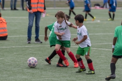 Wereldkampioenschap Voetbal Adoptiekids