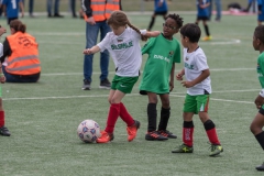 Wereldkampioenschap Voetbal Adoptiekids