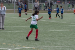 Wereldkampioenschap Voetbal Adoptiekids