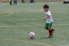 Wereldkampioenschap Voetbal Adoptiekids