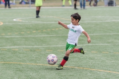 Wereldkampioenschap Voetbal Adoptiekids