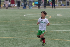 Wereldkampioenschap Voetbal Adoptiekids