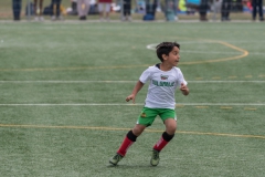 Wereldkampioenschap Voetbal Adoptiekids