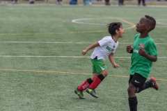 Wereldkampioenschap Voetbal Adoptiekids