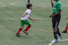 Wereldkampioenschap Voetbal Adoptiekids