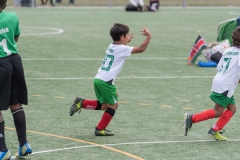 Wereldkampioenschap Voetbal Adoptiekids