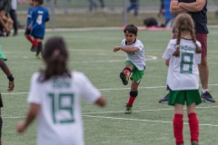 Wereldkampioenschap Voetbal Adoptiekids
