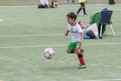 Wereldkampioenschap Voetbal Adoptiekids