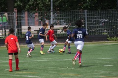 WK Adoptiekids 2022